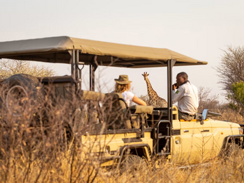 Gham Dhao Lodge Gham Dhao Lodge: Giraffe