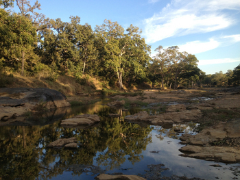 Shergarh Tented Camp: Banjaar-Flussbett