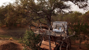 John's Camp John's Camp: Sleep-out Platform