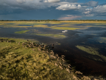 King Lewanika Lodge: Landschaft mit Kanus