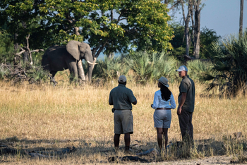 Kuthengo Camp: Walking Safari