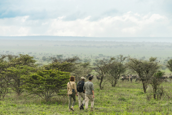 Legendary Songa Migrational Camp: Wandersafari