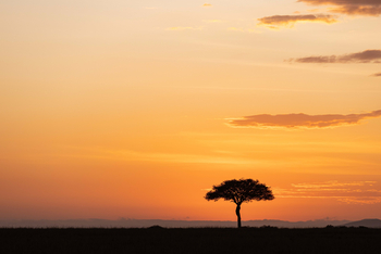 Mahali Mzuri: Landschaft