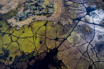 Mogogelo Camp Mogogelo Camp: Sumpf