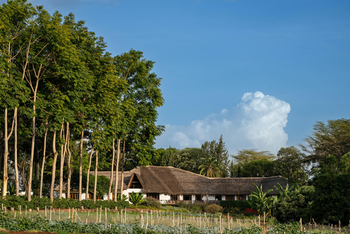 Ngorongoro Farmhouse: Haupthaus und Gemüsegarten