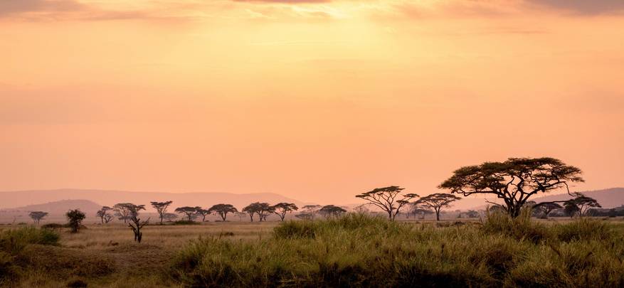 Serengeti Sametu Camp Serengeti Sametu Camp