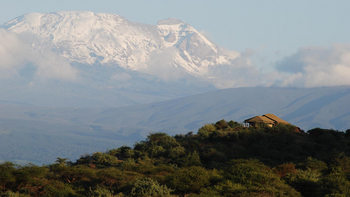 Shu'mata Camp: Unter dem Kilimanjaro