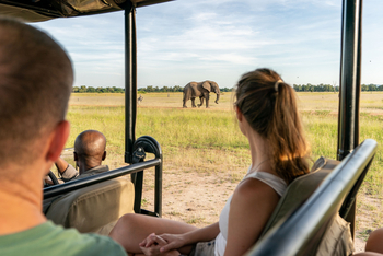 Time + Tide South Luangwa Time + Tide South Luangwa: Game Drives