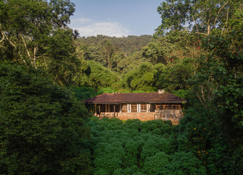 Volcanoes Bwindi Lodge: Deluxe Room