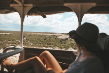 Etosha Safari Camp: Zebras