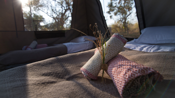 Beagle Expeditions: Begrüßung