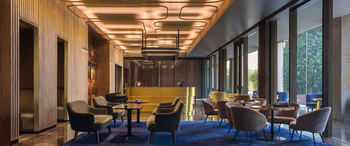 Roseate House: Lounge mit plüschigem Teppich und Messingtheke