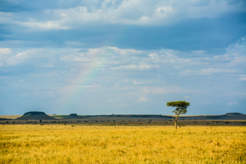 Sayari Camp: Leichter Regen