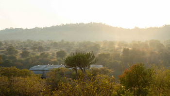 Singita Lebombo Lodge: Weite Buschlandschaft im sanften Morgenlicht