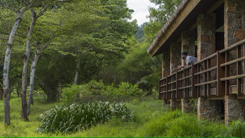 The Serai Bandipur: Blick ins naturbelassene Gelände
