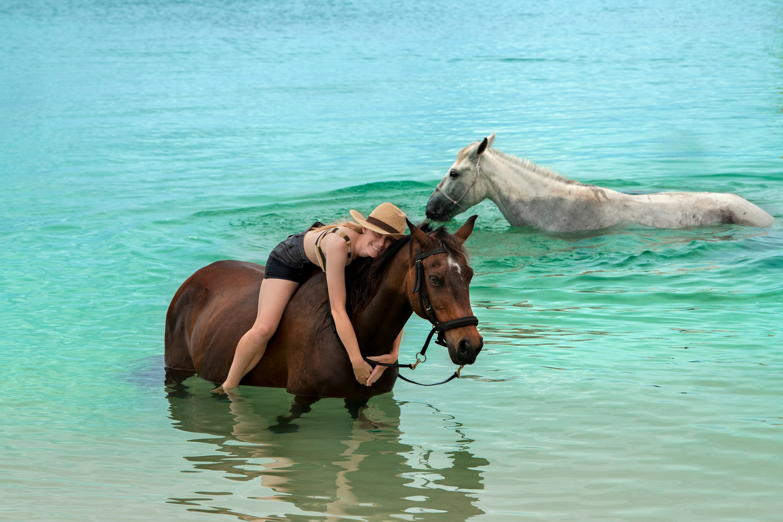 andBeyond Benguerra Island andBeyond Benguerra Island: Pferde im Wasser