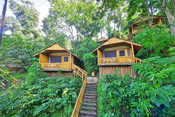 Buhoma Lodge: Chalets in Schrägsicht