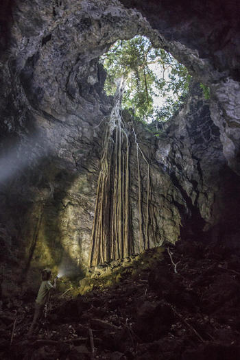 Campi ya Kanzi: Cave Dinner