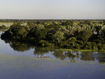Jacana Camp: Mekoro vor der Campinsel