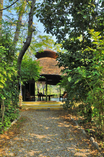 Jim's Jungle Retreat: Eingangsbereich