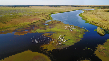King Lewanika Lodge: Flusslandschaft von oben