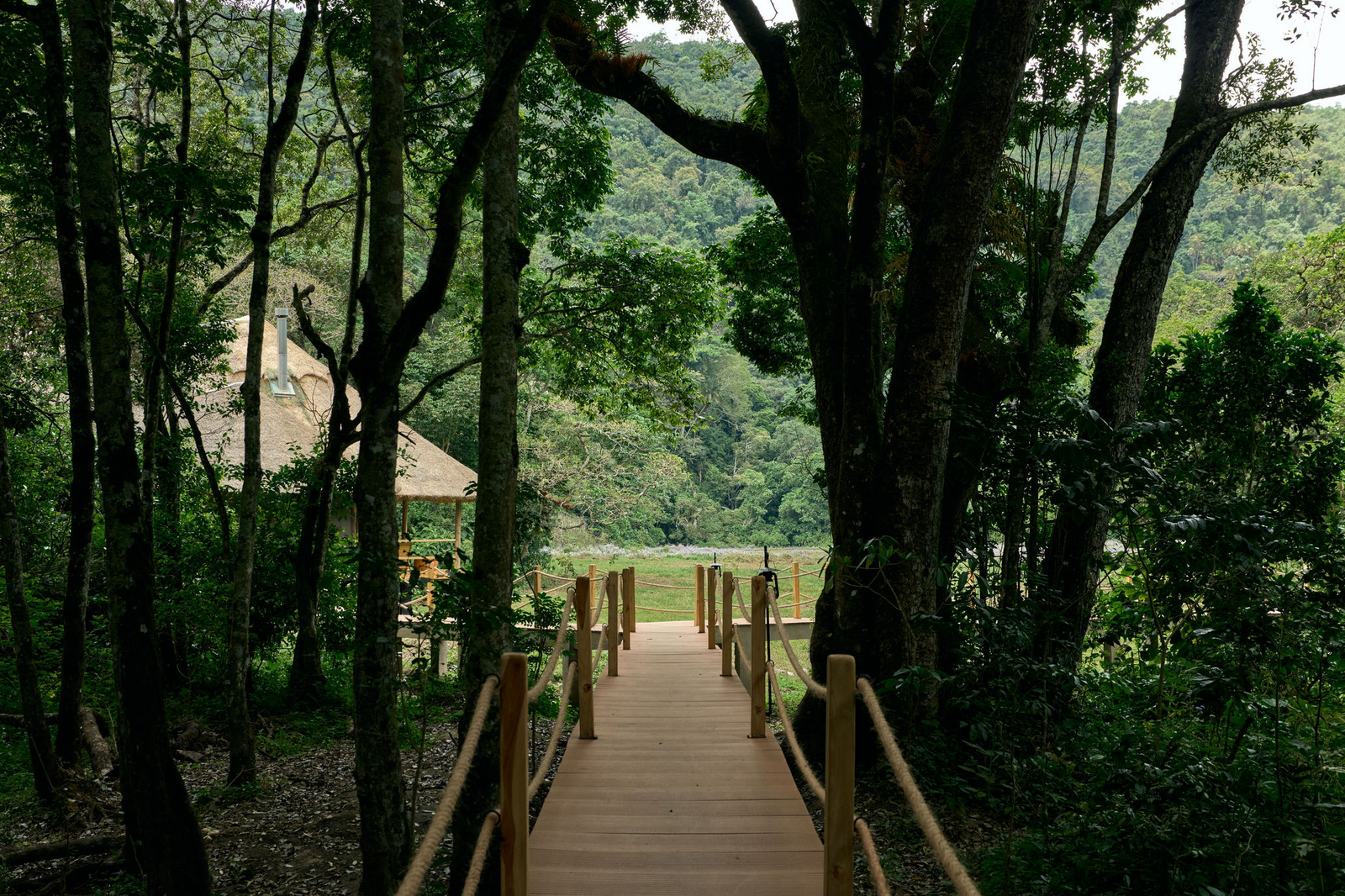 Koroi Forest Camp Koroi Forest Camp: Holzweg