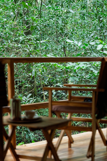 Koroi Forest Camp: Sitzgelegenheit auf der Veranda