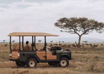 Laba Grumeti Art Lodge: Game Drive