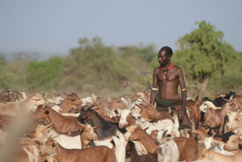 Lale's Camp: Stammeskultur - Hamar