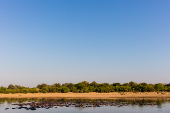 Luambe Camp: Hippo Pod