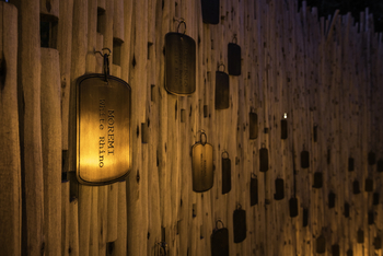 Mombo Camp: Rhino Conservation Info Wall