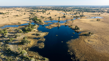North Island Okavango Camp North Island Okavango Camp: Lagunen und Savannen