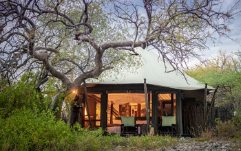 Onguma Tented Camp: Gästezelte