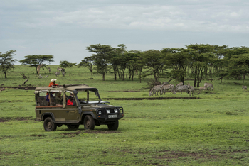 Richard's River Camp: Game Drive