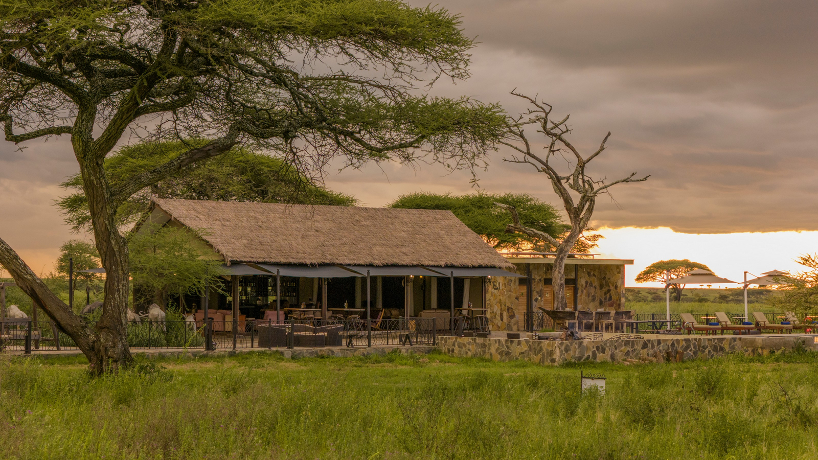 Serengeti Sametu Camp Serengeti Sametu Camp: Hauptbereich