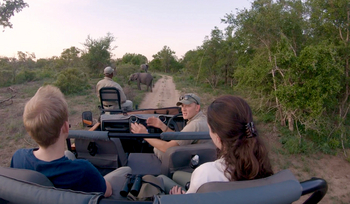 Dulini River: Game Drive
