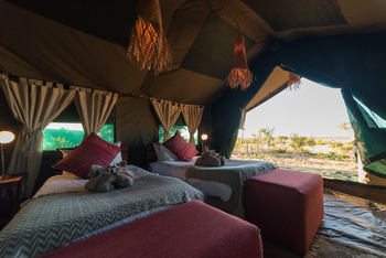 Hwange Bush Camp: Einzelbetten