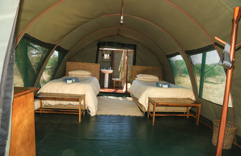 Jozibanini Camp Jozibanini Camp: Zelt mit zwei Einzelbetten
