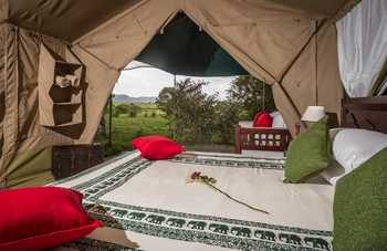 Losokwan Luxury Tented Camp: Doppelbett mit Ausblick
