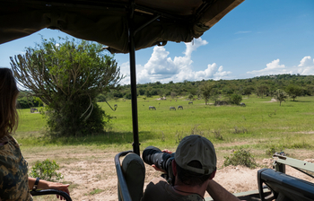 Mihingo Lodge: Game Drive
