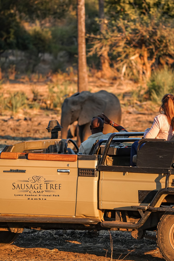 Sausage Tree Camp: Geländefahrzeug