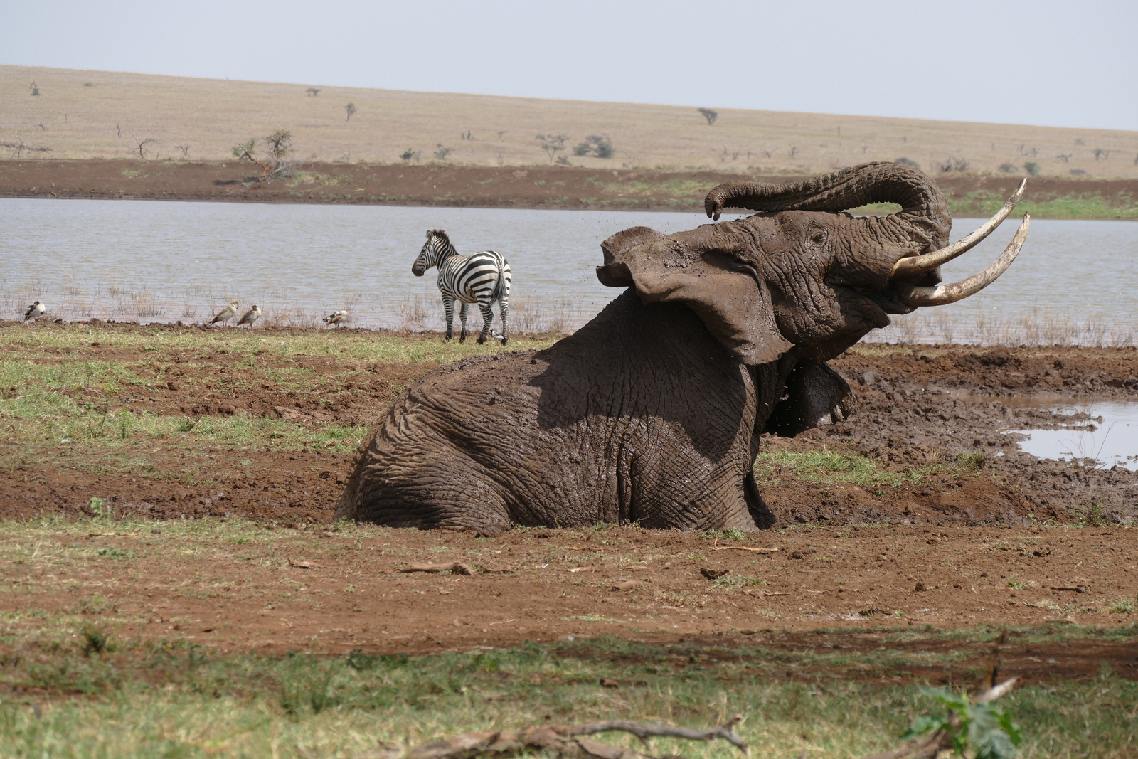 Sirikoi Lodge Sirikoi Lodge: Schlammbad