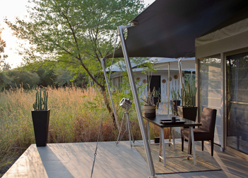 Sujan Jawai: Family Felidae Suite - Sit-out