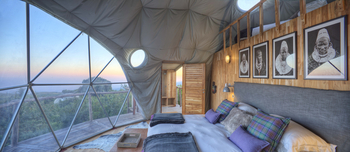 The Highlands Camp: Blick aus dem Bett