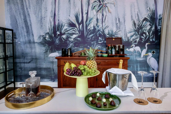 The Palm River Hotel: Presidential Suite - Begrüßung