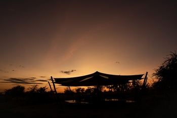 Usangu Expedition Camp: Zeltsilhouette