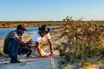Chobe River Camp: River Safari