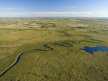 Duba Plains Camp: Luftbild Flussschleifen