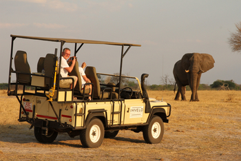 Jozibanini Camp Jozibanini Camp: Game Drive