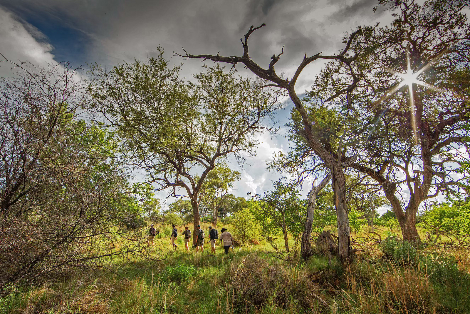 Kwapa Camp Kwapa Camp: Walking Safari